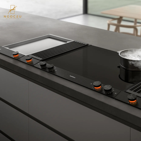 Bếp điện Gaggenau VP230120 - Serie 200