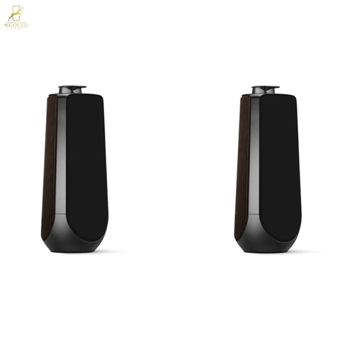 Loa B&O Beolab 50 - Black Anthracite