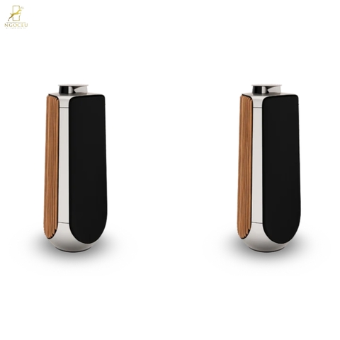 Loa B&O Beolab 50 - Oak