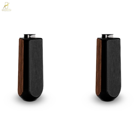 Loa B&O Beolab 50 - Smoked Oak