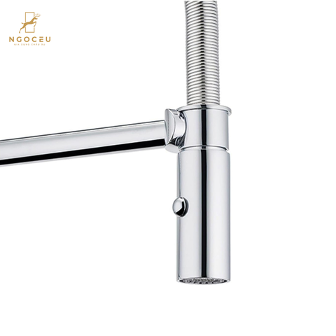 Vòi rửa bát Franke Pescara Semi-Pro XL - 115.0393.974
