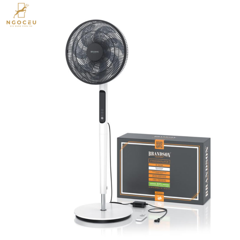 Quạt cây Brandson Dc Eco