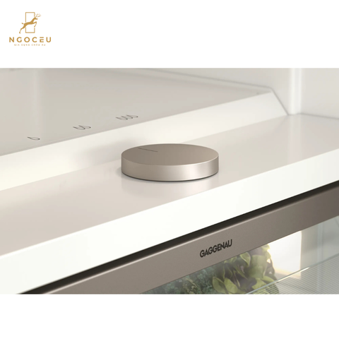 Tủ mát kết hợp tủ đông 223L - Gaggenau RB289300 - Serie 400