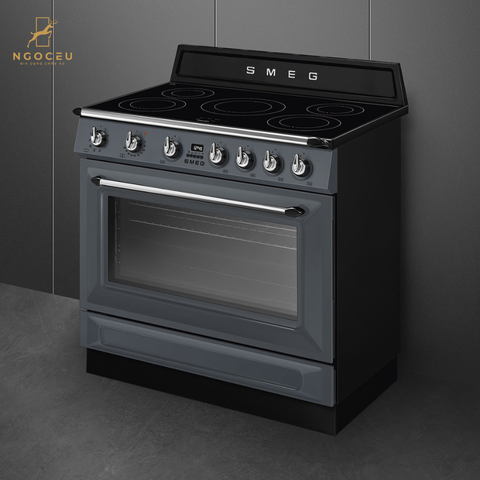 Bếp từ hỗn hợp kèm lò nướng Smeg TR90IMGR