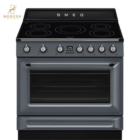 Bếp từ hỗn hợp kèm lò nướng Smeg TR90IMGR