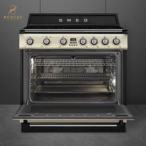 Bếp từ hỗn hợp kèm lò nướng Smeg TR90IMP