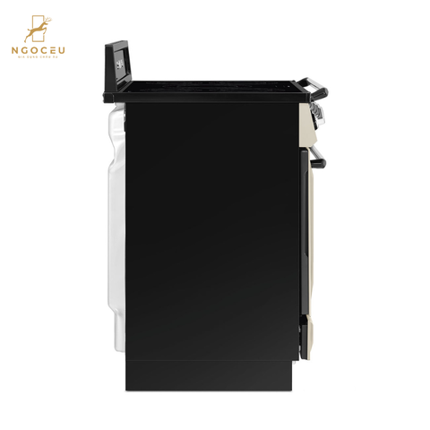 Bếp từ hỗn hợp kèm lò nướng Smeg TR90IMP