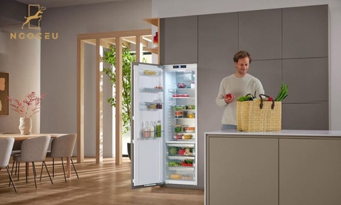 Tủ mát âm tủ Miele K 7747 D