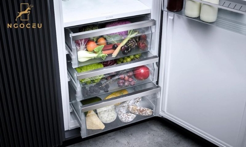 Tủ mát âm tủ Miele K 7747 D