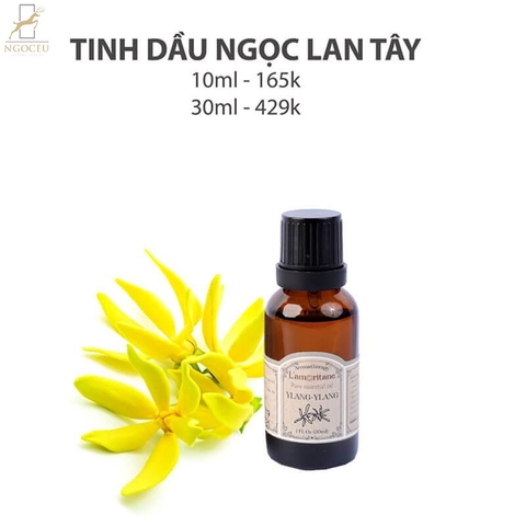Tinh dầu Ngọc Lan Tây 10ml