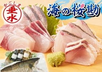 Cá cam fillet Sakura Kampachi