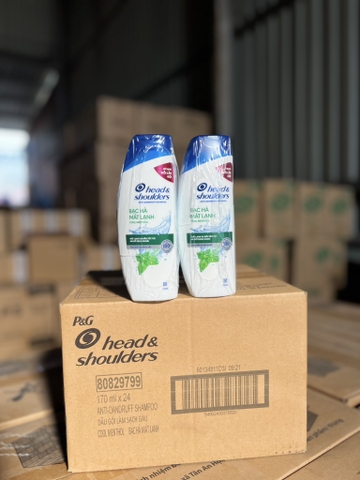 DẦU GỘI H&S BẠC HÀ MÁT LẠNH 170ML X 24 CHAI