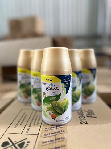 GLADE_CHAI XIT TDONG SOM MAI 252ml