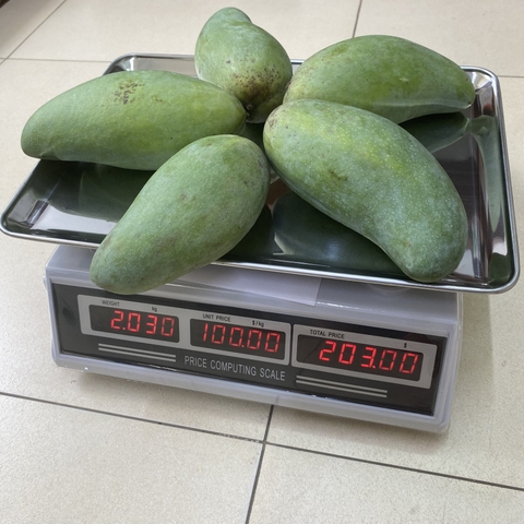 Cân điện tử tính tiền UTE UPA-Q tải 30kg/5g