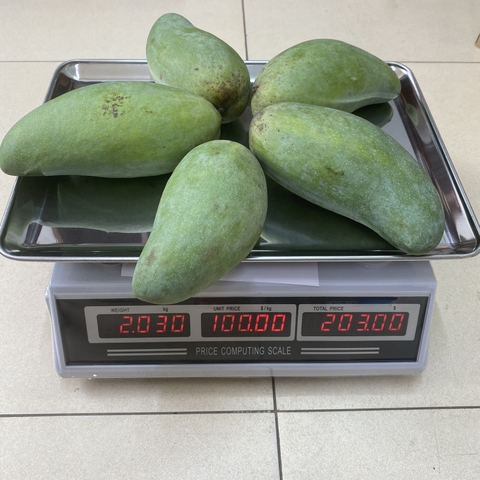 Cân điện tử tính tiền UTE UPA-Q tải 30kg/5g