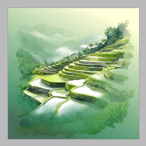 Ruộng bậc thang 3