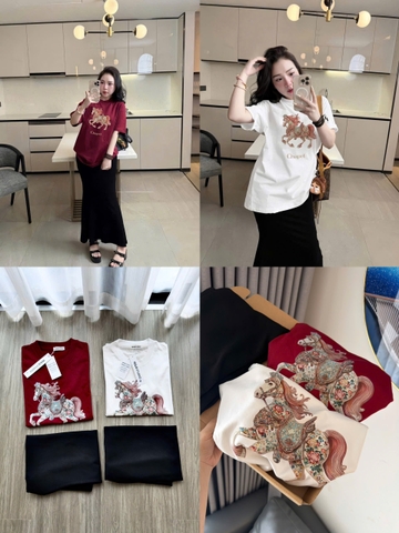 Set884- Set áo phông ngựa mix CV đuôi cá chất zip