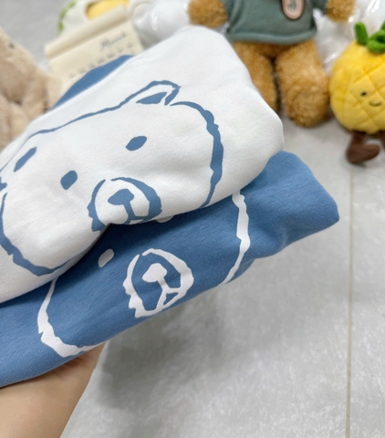 BT733- Combo 2 bộ nỉ bé trai phối màu xanh trắng