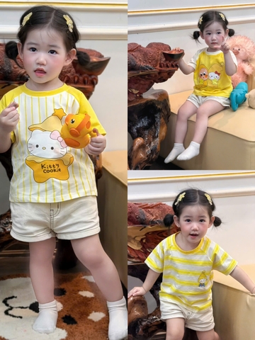 BT919-Combo 3 áo cotton tông vàng in mèo KITTY