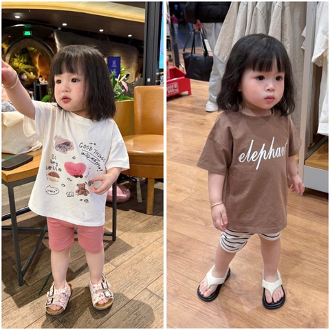 CB293-Combo 2 bộ chữ Ele