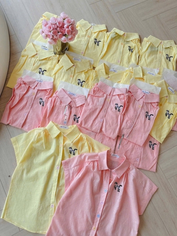 🌸 A319- ÁO SƠ MI TAY LIỀN THÊU CÚC NHIỂU MẦU 🌸