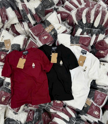 SET466-Set 3 áo thun cổ tròn thêu gấu RABBIT chất cotton