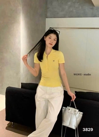 A300- Áo len polo vàng  thêu  logo nổi nhà máy full tem