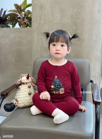 Bt770- Combo 2 bộ zip Noel xanh-đỏ dài tay hoạ tiết in