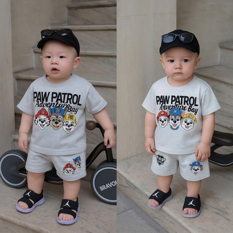 bT569- Bộ Chó cứu hộ màu ghi áo coton quần nỉ mì