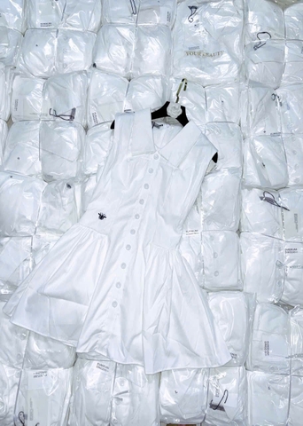 Dam155- Đầm xoè thêu ong ly eo tặng kèm quần váy