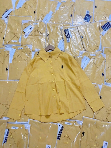 A311-Áo sơ mi dài tay đũi dáng suông màu vàng thêu ngựa