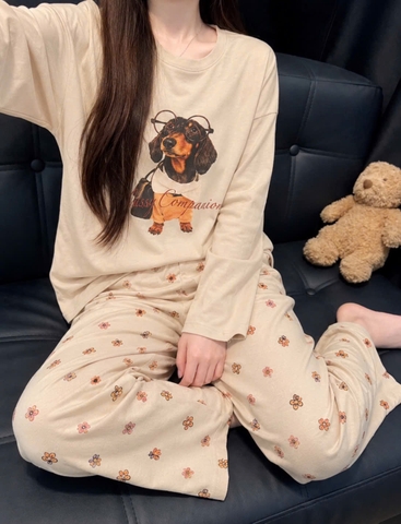 Set1037- Set dài tay CÚN NHẠt quần hoa