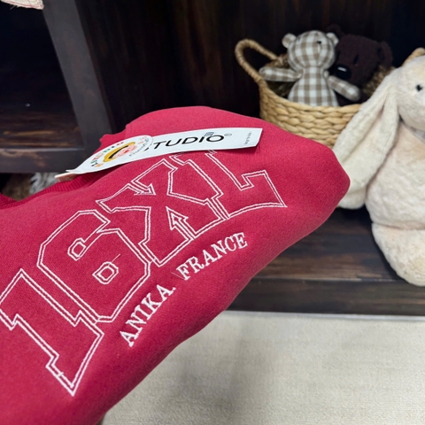 Aokid05- Áo nỉ haida đỏ cho bé size 9-26kg