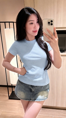 A610-Áo thun cotton thêu cá xanh dương hàng nhà máy đủ tem