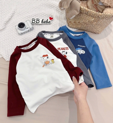 Cb300-Combo 3 áo thun cotton dài tay bé trai 3 màu size 9-27kg