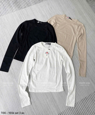 A386- Combo 3 áo thun dài tay nâu trắng be
