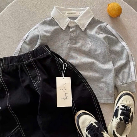 BT1031: Combo 3 áo thun polo dài tay thêu ngựa