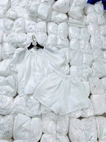 SET654-Set áo đũi trắng nơ lưng phối quần short 2 lớp