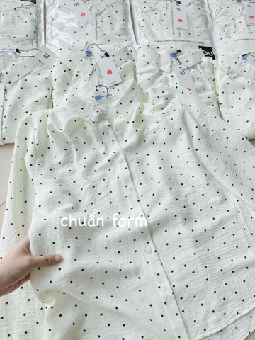 SET497- set áo thun mix short cạp cap hoạ tiết DI Ò