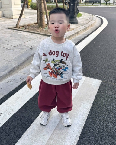 BT748-Bộ nỉ haida bé trai áo xám in phối quần bo ống