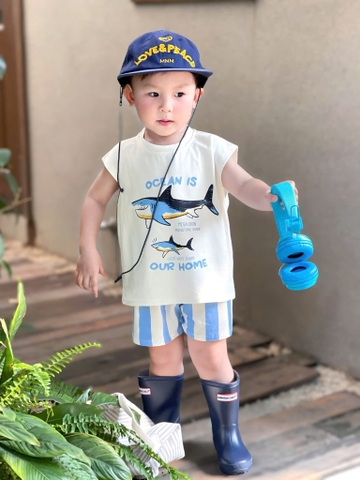 BT570- Bô cotton cá Mập trắng xanh bé trai