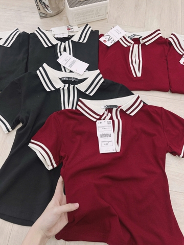 A242-Áo thun nữ polo cổ bé phối viền 3 màu