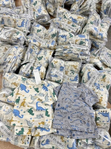 CB306-Combo 2 bộ cotton KHỦNG LONG MÀU in full cộc tay