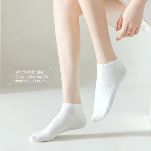 TAT01-Combo 10 đôi tất trắng tinh 3 loại sọc gân cổ loại dày dặn đẹp nhất