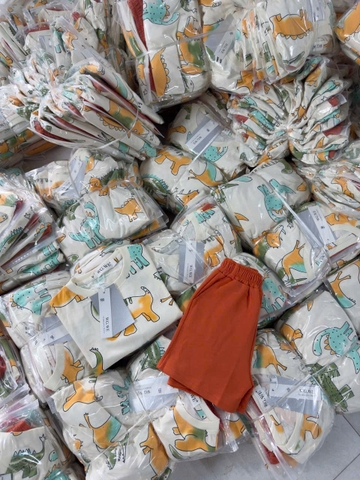 BT440- Bộ áo cotton khủng long mix quần cua màu Cam