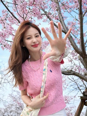 A520-Áo len dệt kim cộc tay màu hồng thêu ngựa mẫu mới