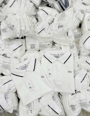 A304- Áo polo cổ trắng viền nhỏ thêu polo nổi tem nhà máy