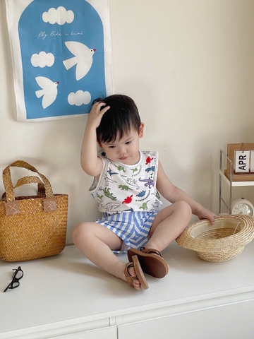 CB340- Combo 3 áo balo in khủng long chất cotton xược