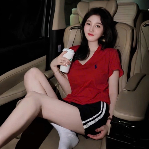 A513-Áo thun đỏ cộc tay cổ V thêu ngựa