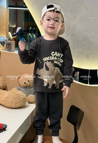 CB299-Combo 2 bộ thun díp dài tay thu đông bé trai khủng long size 9-25kg